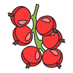 berry flat icon