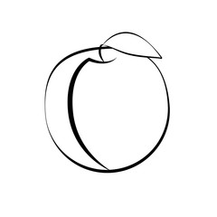 Apricot and leaf on a white background. Silhouette. Vector.