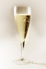 champagne