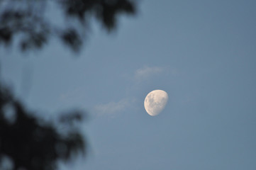 Lua