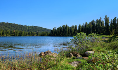 Obraz premium Shore of blue lake in taiga