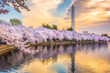 Fototapeten Washington DC, USA in Spring © SeanPavonePhoto