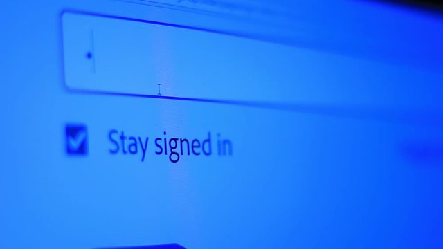 Enter the password for the website in the Internet. Encryption screen With flashing cursor