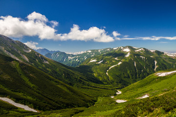 Fototapeta premium 山歩き