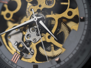 Fototapeta na wymiar Mechanical skeleton watch with visible gears