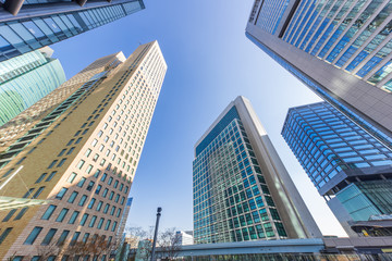 Fototapeta premium 汐留の高層ビル