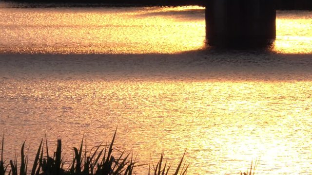 夕方の川面と跳ねる魚_02-186