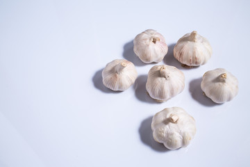 Garlic isolated on white background, Allium sativum isolated on white background