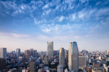 Fototapeta na wymiar Landscape of tokyo city skyline in Aerial view with skyscraper, modern office building and blue sky with cloudy sky background in Tokyo metropolis, Japan.