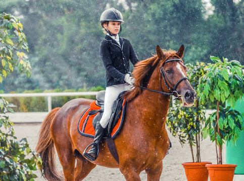 Young girl in uniform jumping with sorrel horse. Blond pretty little girl going jump a hurdle in a competition. Girl with red horse during equestrian showjumping.