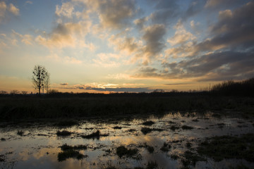 Fototapeta na wymiar Flooded meadow and clouds after sunset