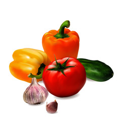 Set of harvest of vegetables. Photorealistic vector illustration of vegetables.