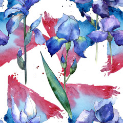 Wildflower iris flower pattern in a watercolor style. Full name of the plant: iris. Aquarelle wild flower for background, texture, wrapper pattern, frame or border.