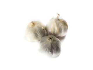 Knoblauchknollen