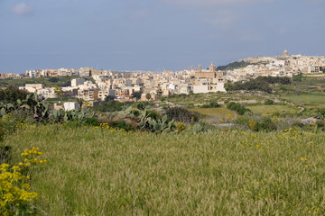 Fototapeta na wymiar Town Mgarr Malta