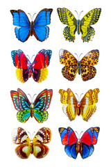 Fototapeta na wymiar raccolta belle farfalle