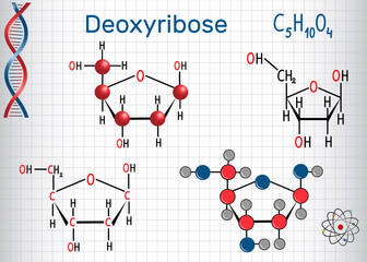Deoxyribose molecule, it is a monosaccharide (deoxy sugar), it forms part of the backbone of DNA -  Structural chemical formula and molecule model Wall mural