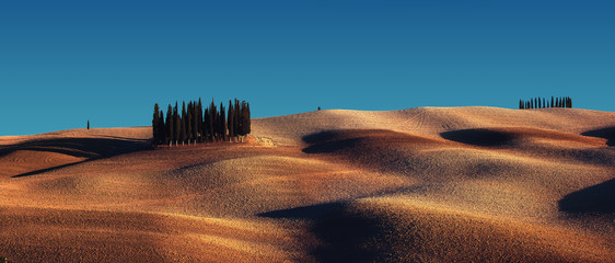 Obraz premium Cypress trees on the field in Tuscany, Italy at sunset.