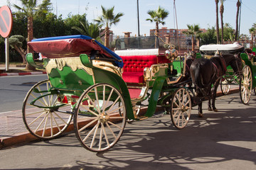 Fototapeta na wymiar Horse carriage in Marrakech.Morocco