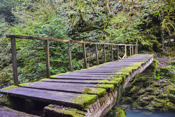wooden bridge over the blue river old moss jungle