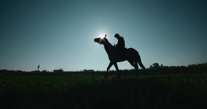 silhouette, professional jockey riding thoroughbred horses preparing for competition