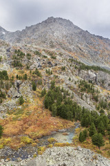 Small green lake. Altai Mountains autumn landscape