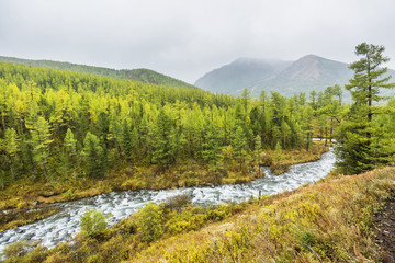 Fototapeta na wymiar River in Kuiguk Valley. Altai mountains autumn landscape