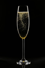 Champagne glass on black background