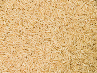 Wholegrain Brown Rice