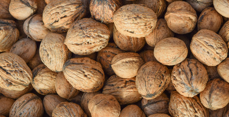 lot of walnuts