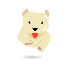 Cute yellow dog jumping and flying over floor