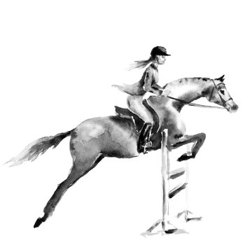 Horseback rider girl or woman and horse jumping in forest on white. Black and white monochrome watercolor or ink hand drawing art. Horseman on stallion. England equestrian sport fox hunting style