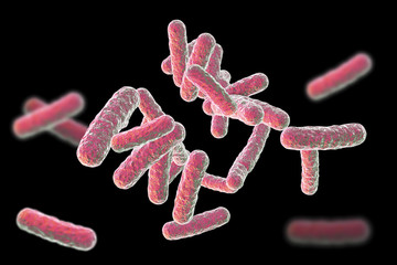 Human pathogenic bacteria isolated on black background, 3D illustration