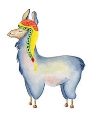Cute Llama cartoon character watercolor illustration, Alpaca animal, hand drawn style.  Isolated white background