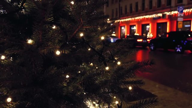 Christmas in the city, xmas tree
