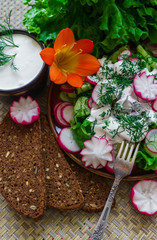 Fototapeta na wymiar salad of fresh organic radish and cucumber with dill and green onions dressed with sour cream.