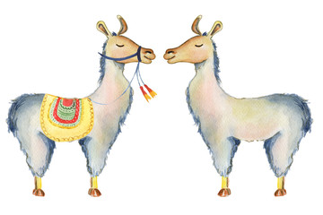 Cute Llama cartoon characters set watercolor illustration, Alpaca animals, hand drawn style.  Isolated white background