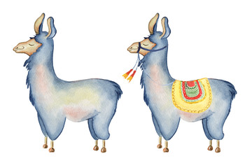 Cute Llama cartoon characters set watercolor illustration, Alpaca animals, hand drawn style.  Isolated white background