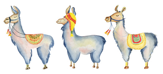 Cute Llama cartoon characters set watercolor illustration, Alpaca animals, hand drawn style.  Isolated white background