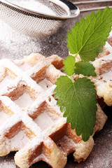 Traditional belgian waffles with fresh powder sugar on wooden background