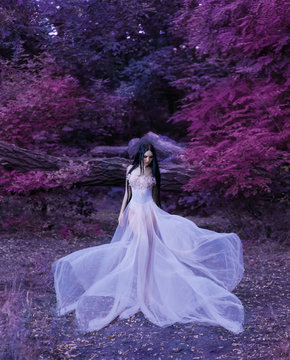 Fragile fantasy girl, in white transparent dress fly in wind motion. Dark black long hair. Fluttering waving farric skirt. Art Photo. Lady fairy woman forest nymph. Spring nature purple pink color