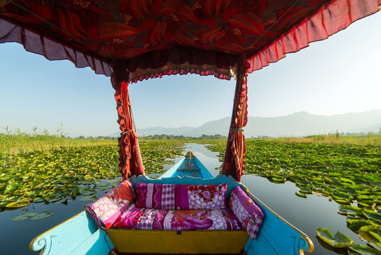 Beautiful view from the traditional shikara boat on Dal lake, Srinagar, India.