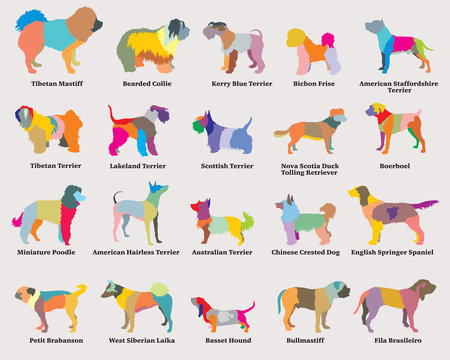 Vector set of colorful mosaic dogs silhouettes-5