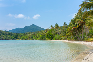 Beautiful tropical beach with palm trees on Koh Chang island in Thailand
