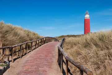 path over the dunes to the lighthouse in Texel - 185034675