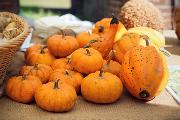A composition of pumpkins 