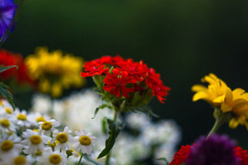 a bouquet of bright spring flowers of various types