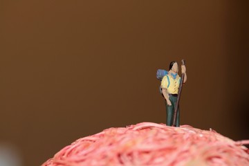 Miniatura di escursionista con bastone