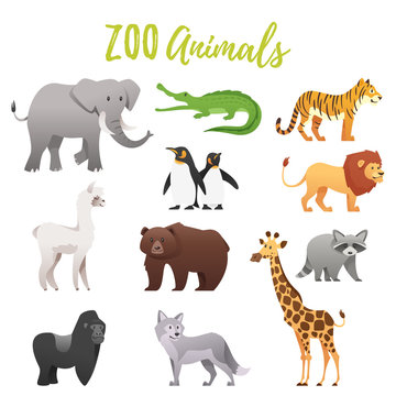 set of zoo animals