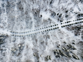 Aerial view of tree lined avenue in winter with snow cover in Switzerland